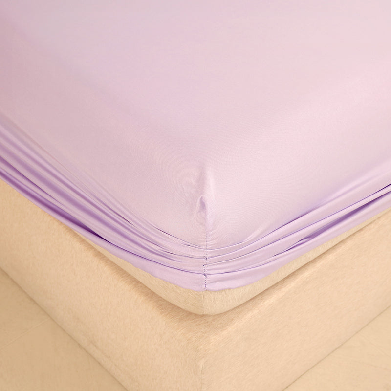 WEICH 890TC | Fitted Bedsheet Set | 100% Combed Cotton | Elegant Purple